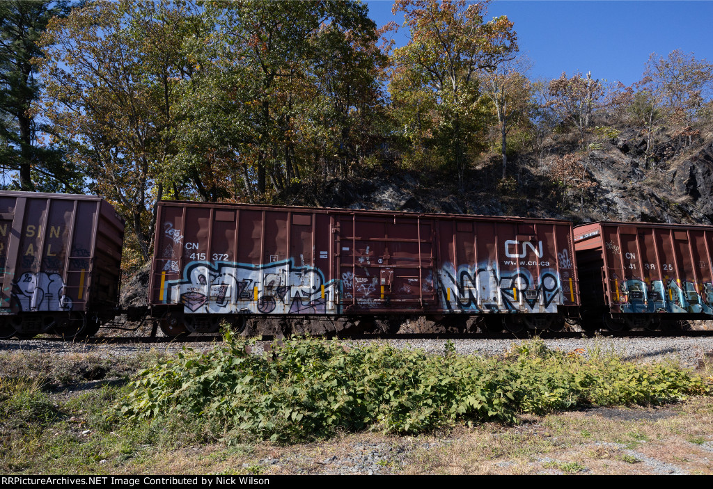 CN 415372